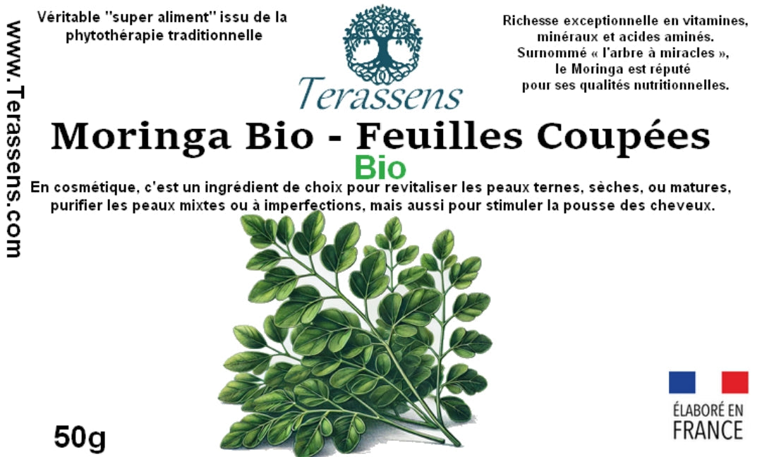 Moringa feuilles Terassens Provence