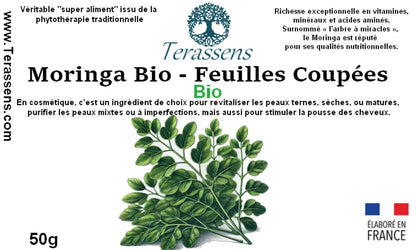 Moringa feuilles Terassens Provence